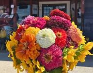 A bouquet of zinnias, from the Flower Fest event listing